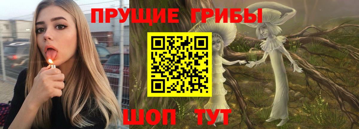 Псилоцибиновые грибы Cubensis Киров